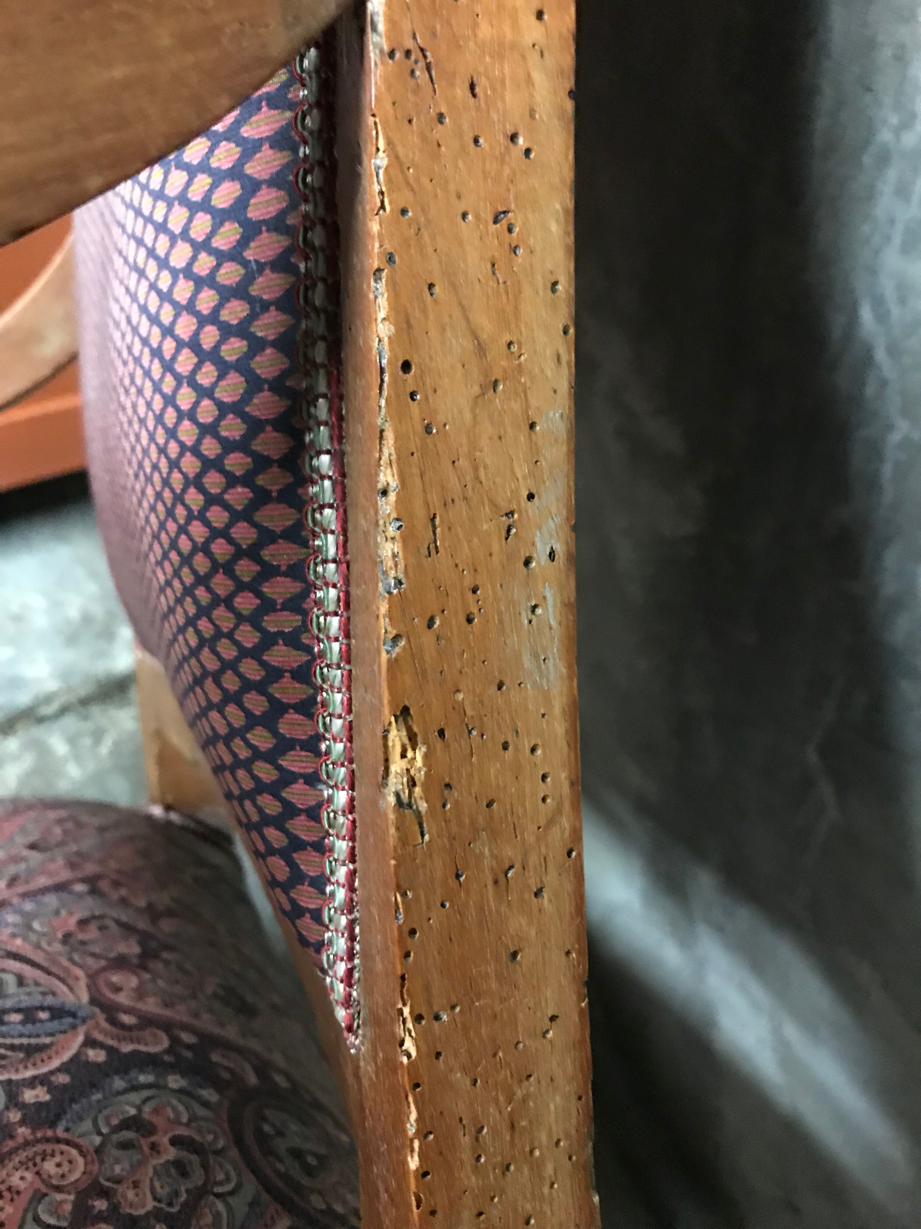 Pair of armchairs to fiddleheads Empire 19th