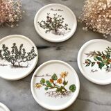 6 under glass porcelain 1970