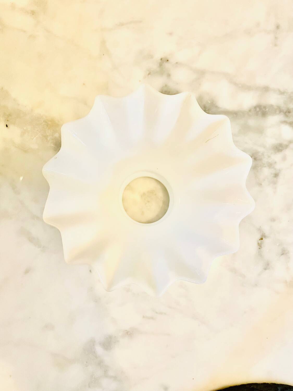 Globe tulips glass lampshade