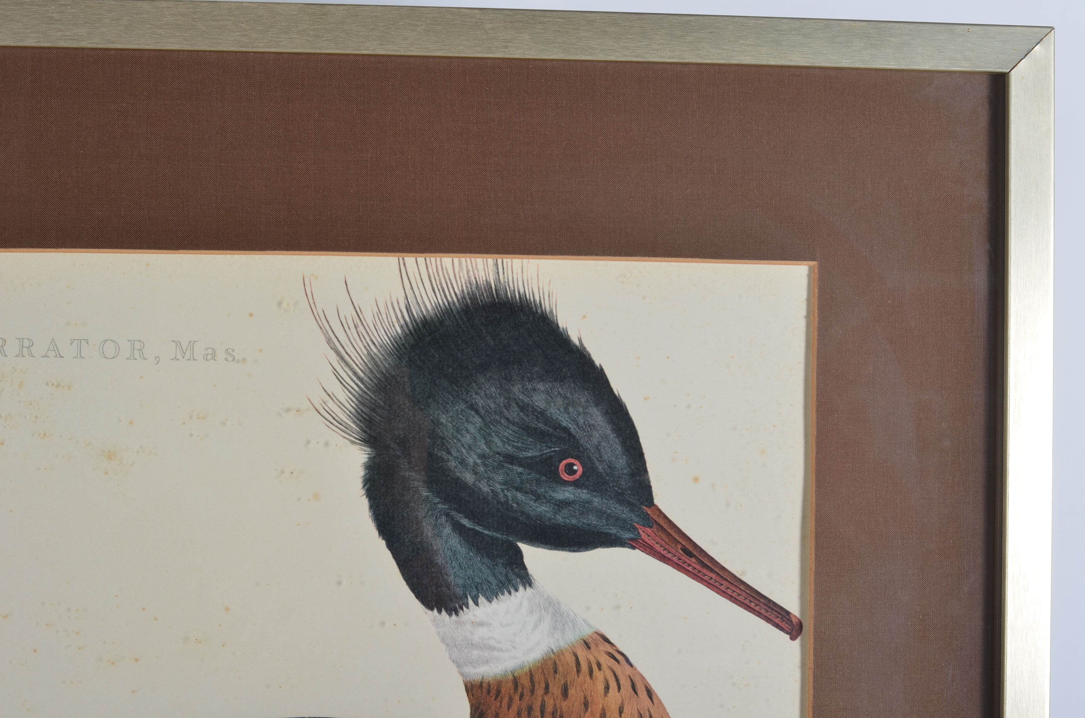 Animal lithography