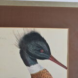 Animal lithography