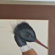 Animal lithography