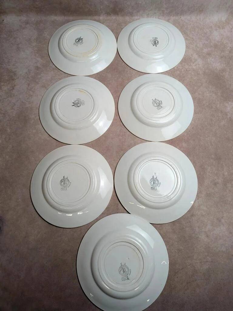 Set of 7 flat plates in ironstone Moulin des Loups FTI 22