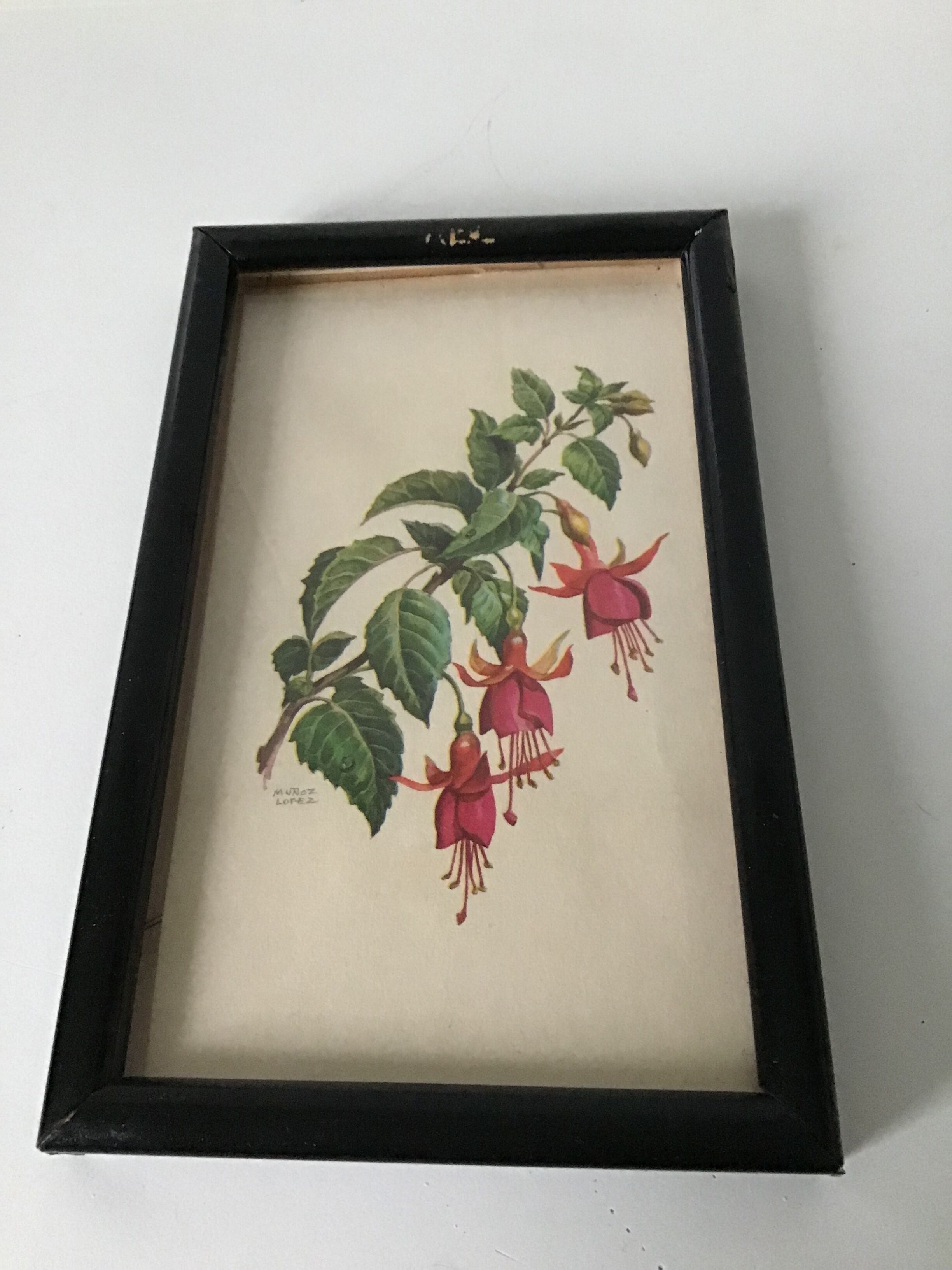 Série de petits cadres en bois avec des gravures anciennes signées de fleurs champetres
