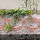 Bols rosés années 70