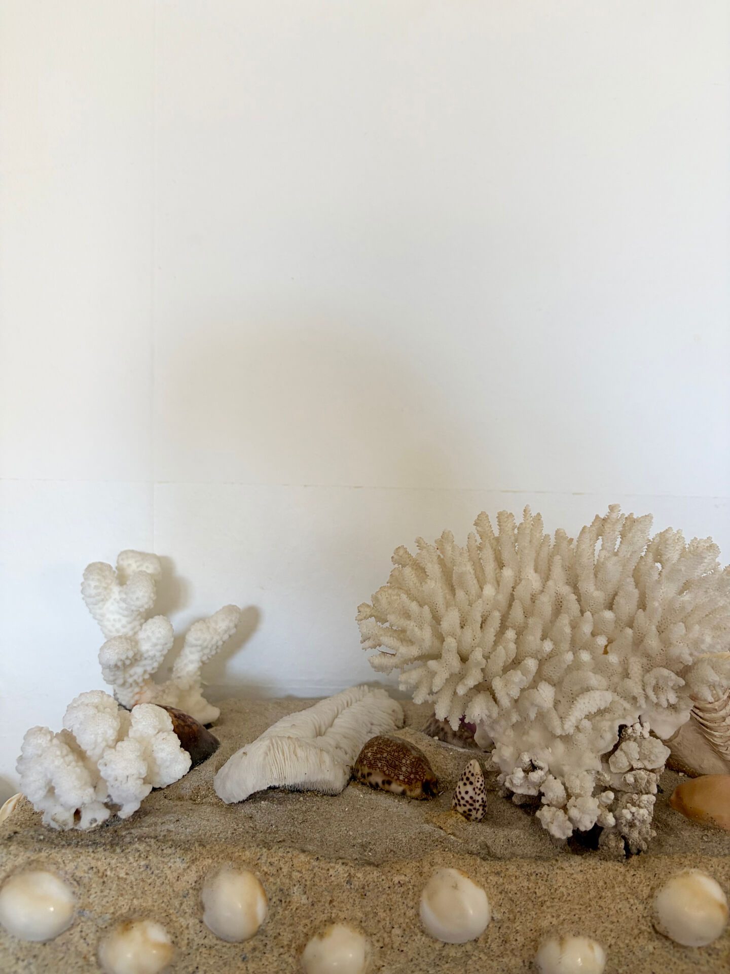 Marine composition
