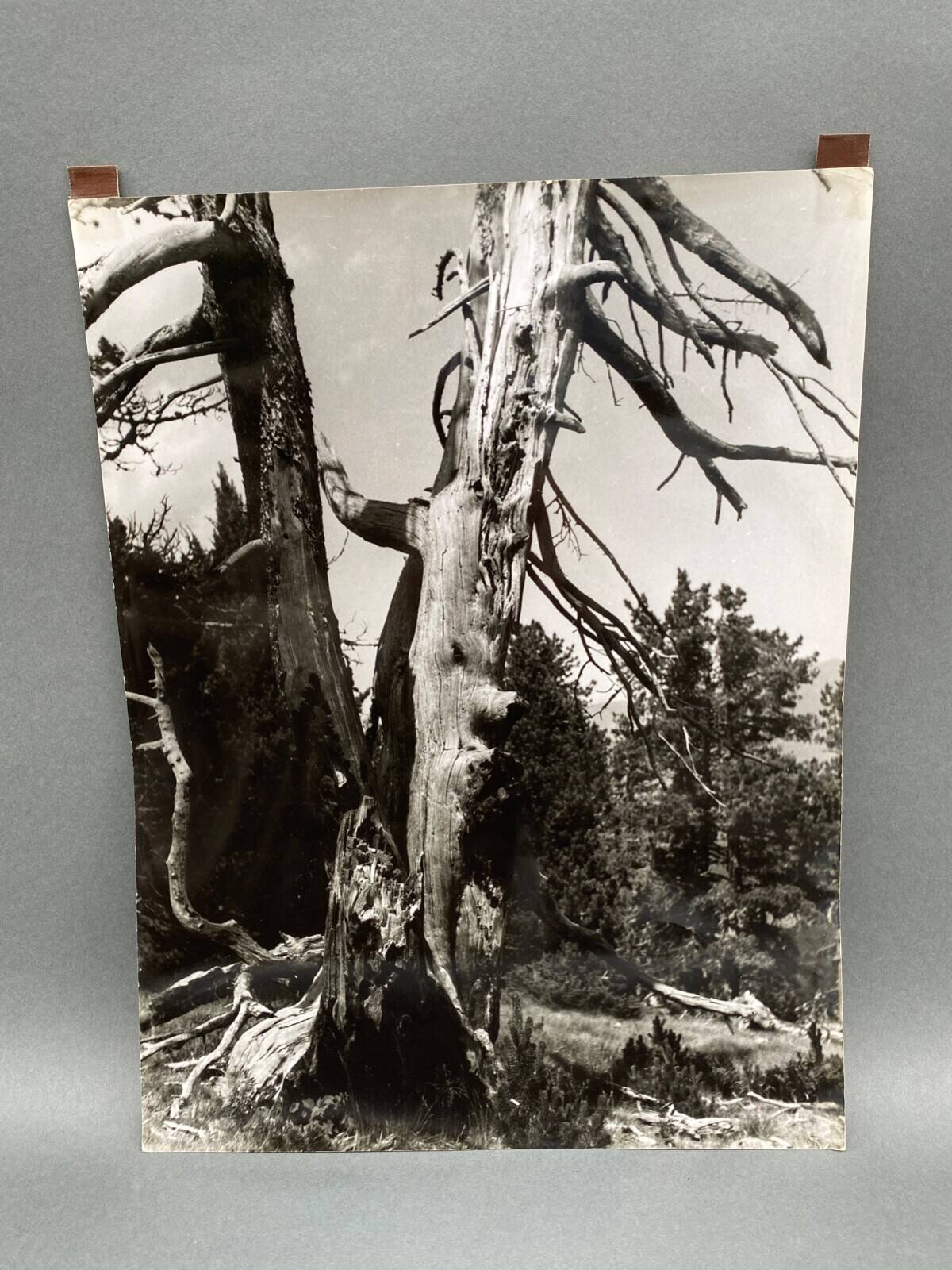 Photographie argentique Bernard Darot Les Vaincus XXe AFIAP