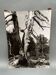 Silver gelatin photograph by Bernard Darot, The Vanquished, 20th Century, AFIAP