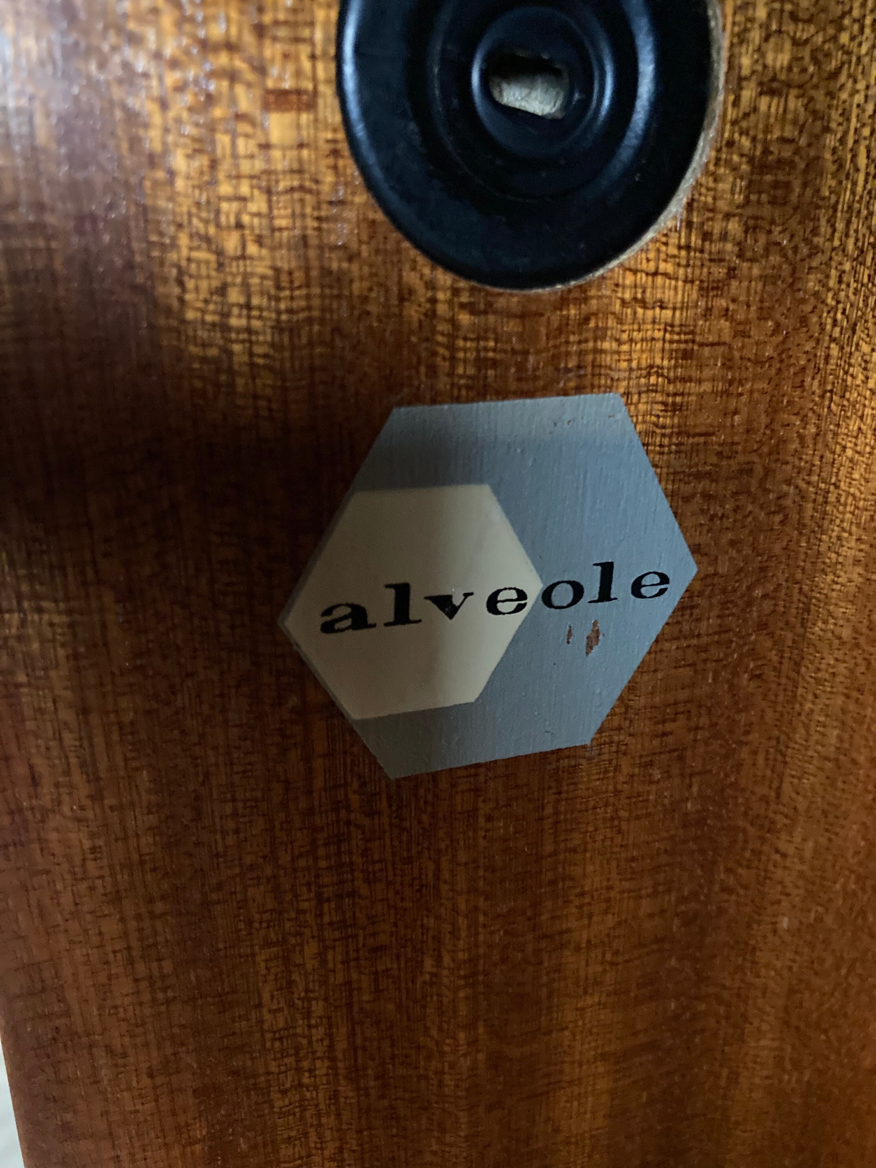 Large chest of drawers of marcel gascoin edition alveole 1950