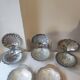 5 scallop butter dishes