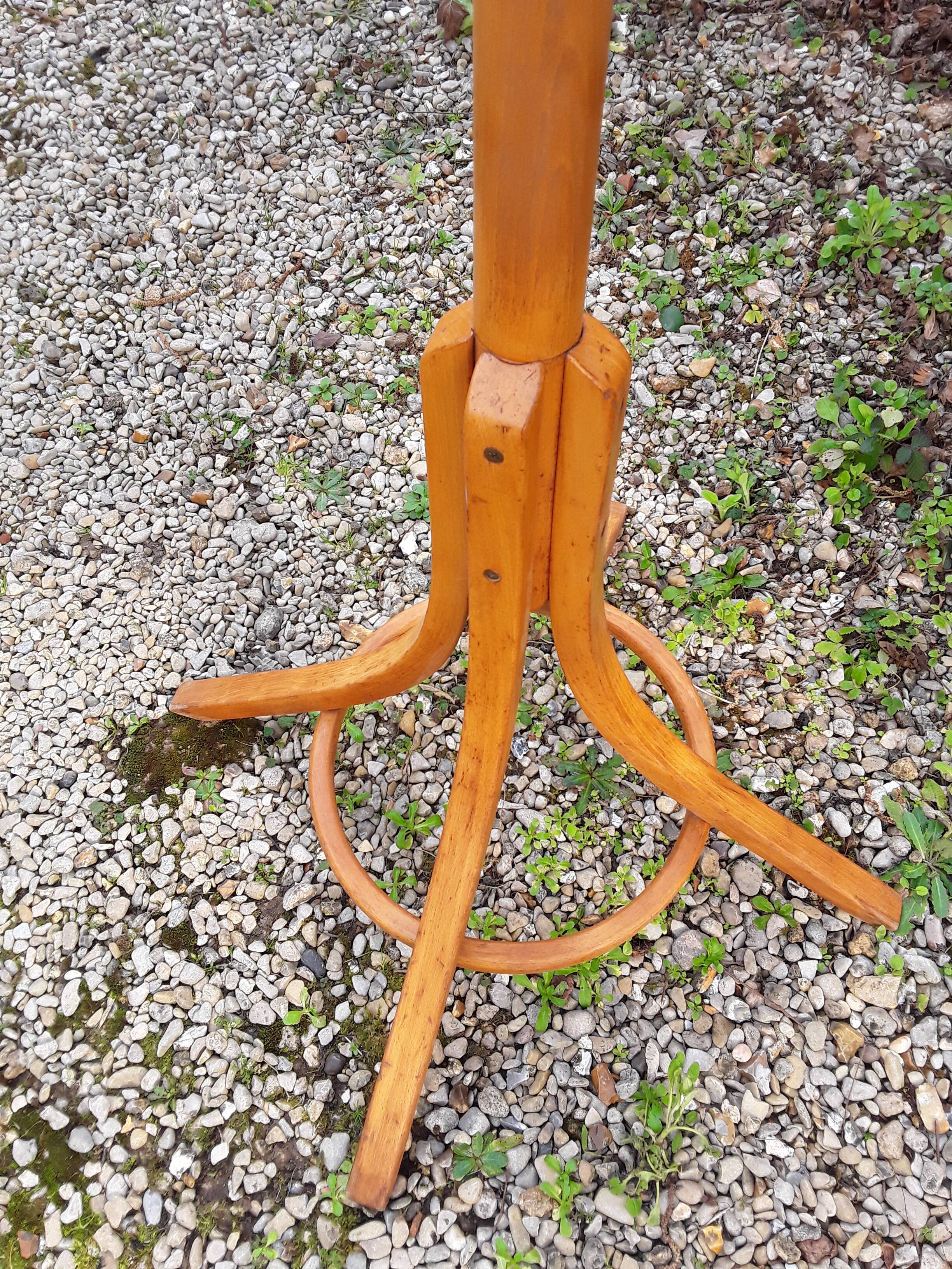Baumann parrot coat holder