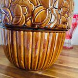 Orchies flowerpot