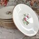 Lot de 12 assiettes plates en porcelaine de Gien France modèle pompadour