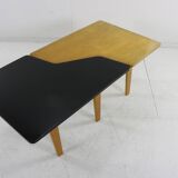 Fifties design coffee table by Cees Braakman for UMS Pastoe