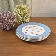 Vintage Digoin plates