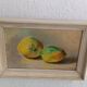 Oil painting still life with two lemons 1960 signed