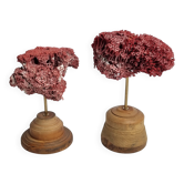 Pair of antique Tubipora musica ornamental corals on base, 17 cm