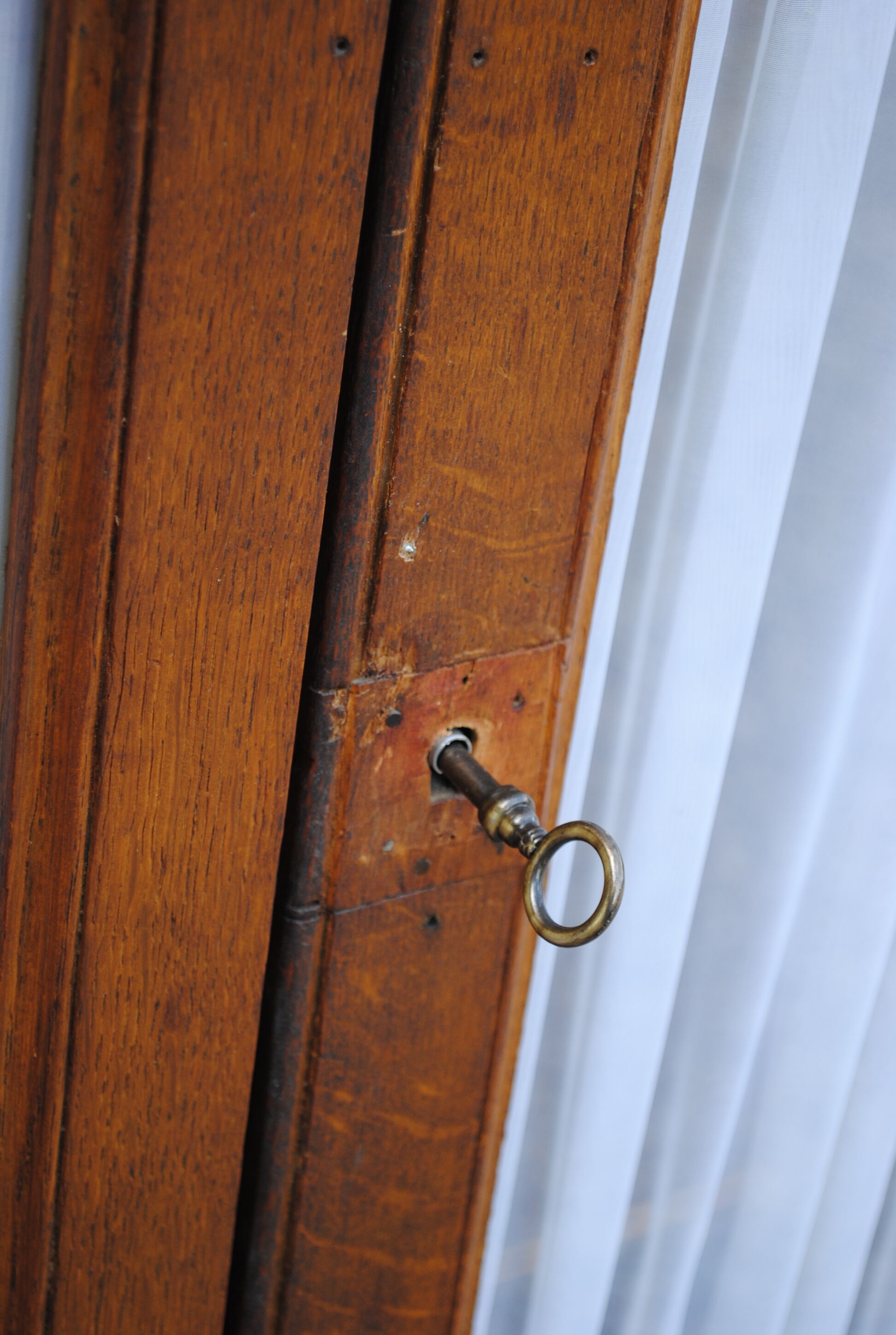 School oak bookcase year 50