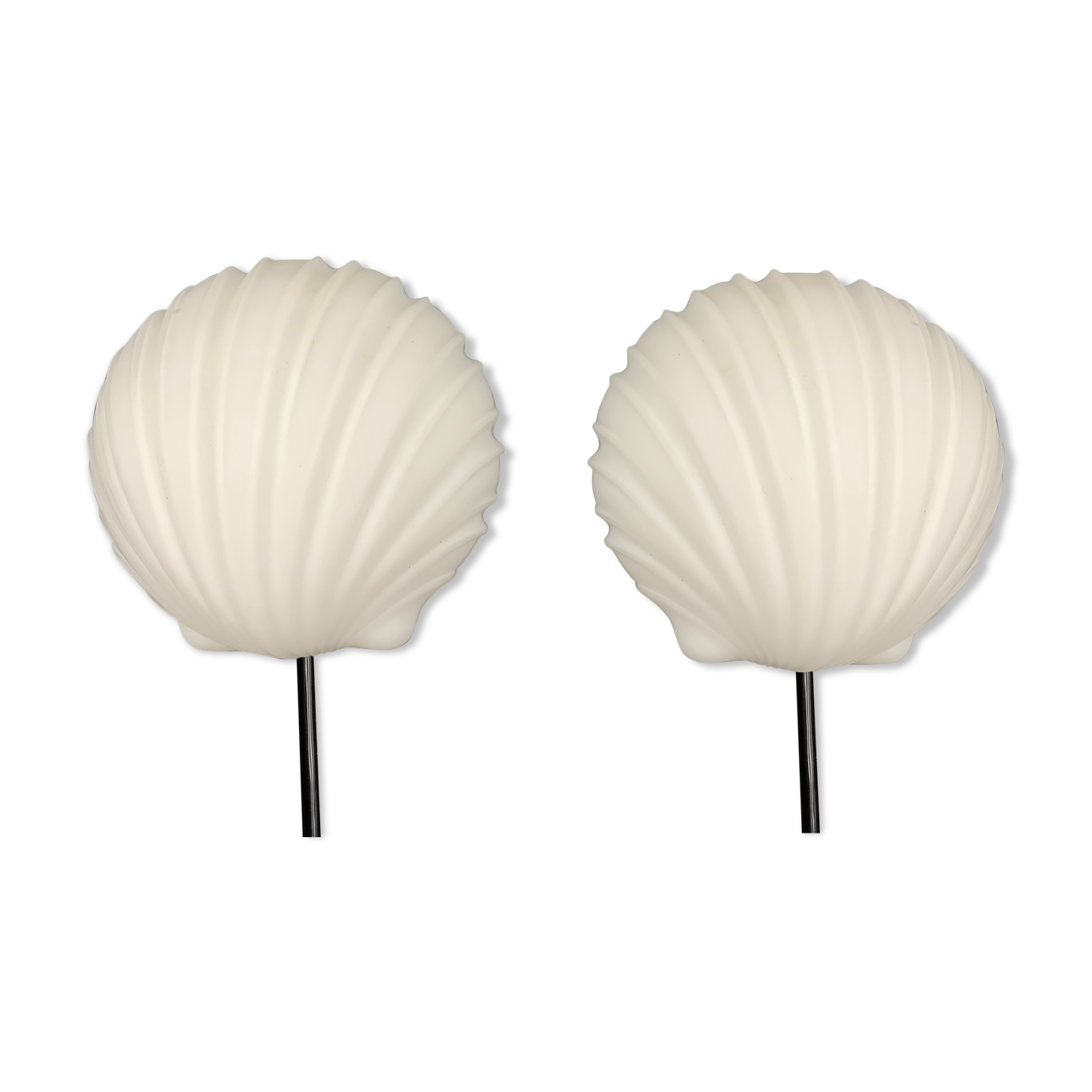 Paire d'appliques murales coquillage de Glasshutte Limburg