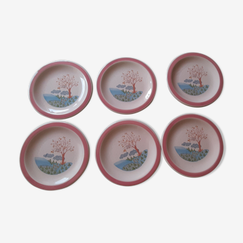 Ccc dessert plates