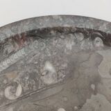 Plat marbre poli fossiles