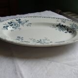 Dish