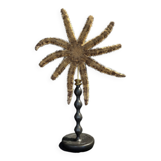 Cabinet of Curiosities starfish luiduia magnifica on base