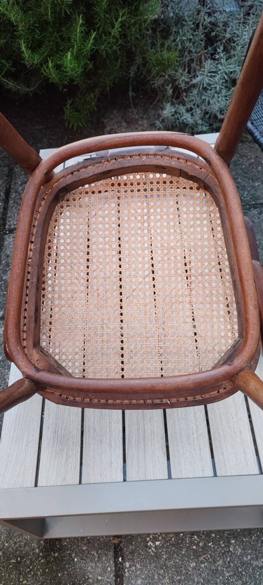 Thonet armchair no. 56