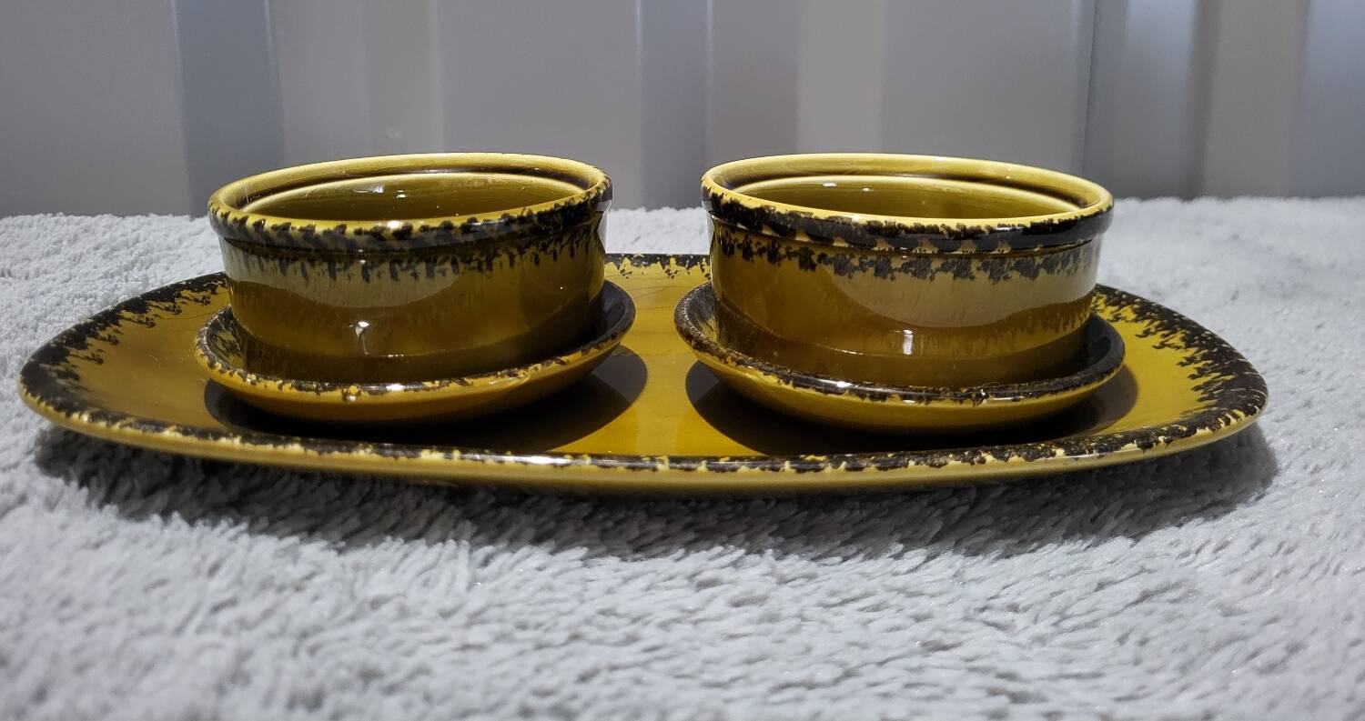 Authentic old vintage oyster set signed Gien France