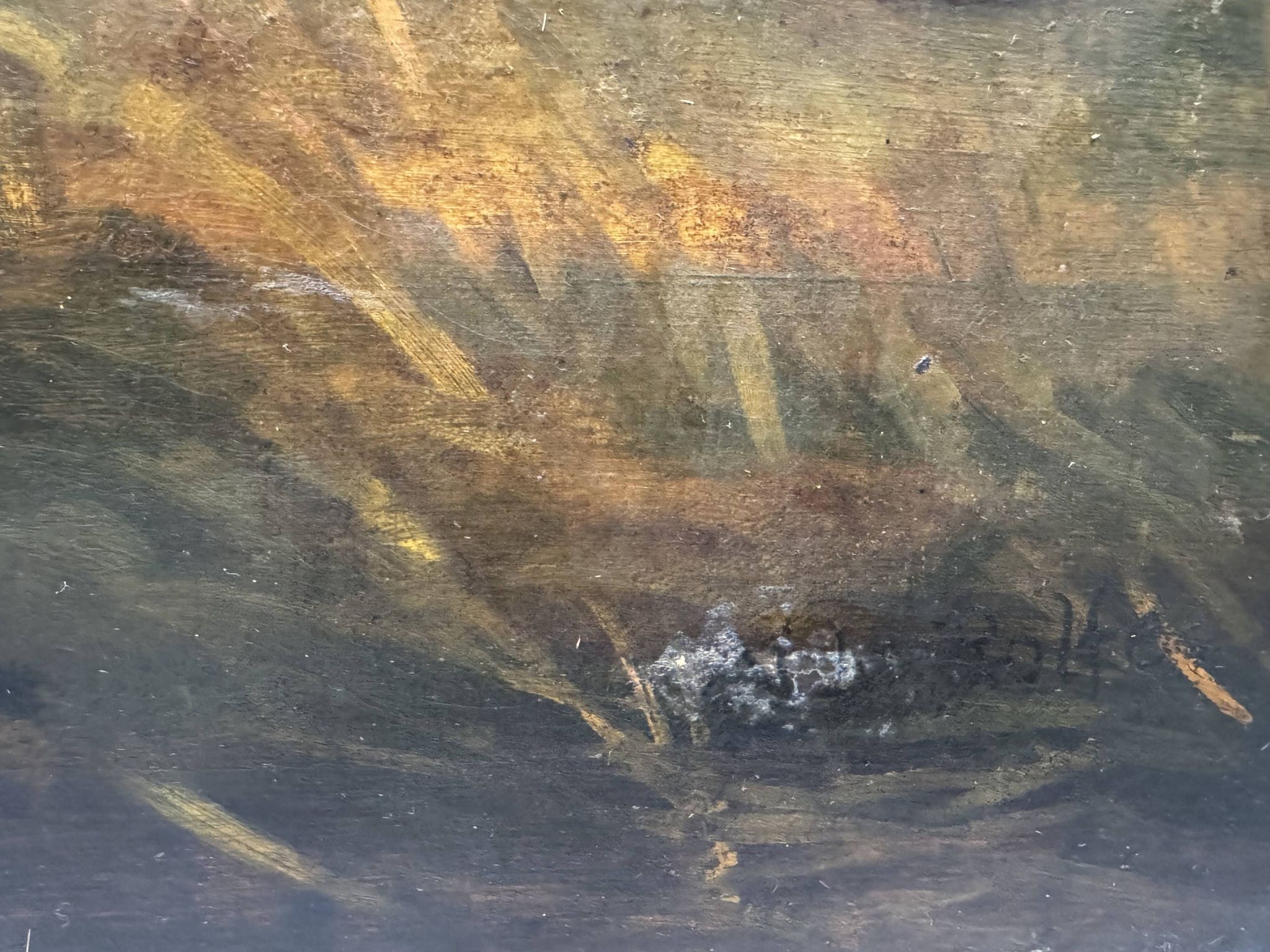 Still life with fish signed HL Rolfe