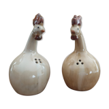 Salt and pepper shaker