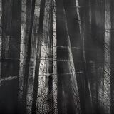 Original lithograph H.C. de BOISGALLAYO from 1988