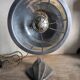 Cobra parabolic lamp with enameled cast iron base, Art Nouveau.