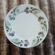 23 assiettes + plat anciens U&C Sarreguemines