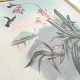 Lot 2 Bird lithographs by J. Gould and H-C Richter golden frame