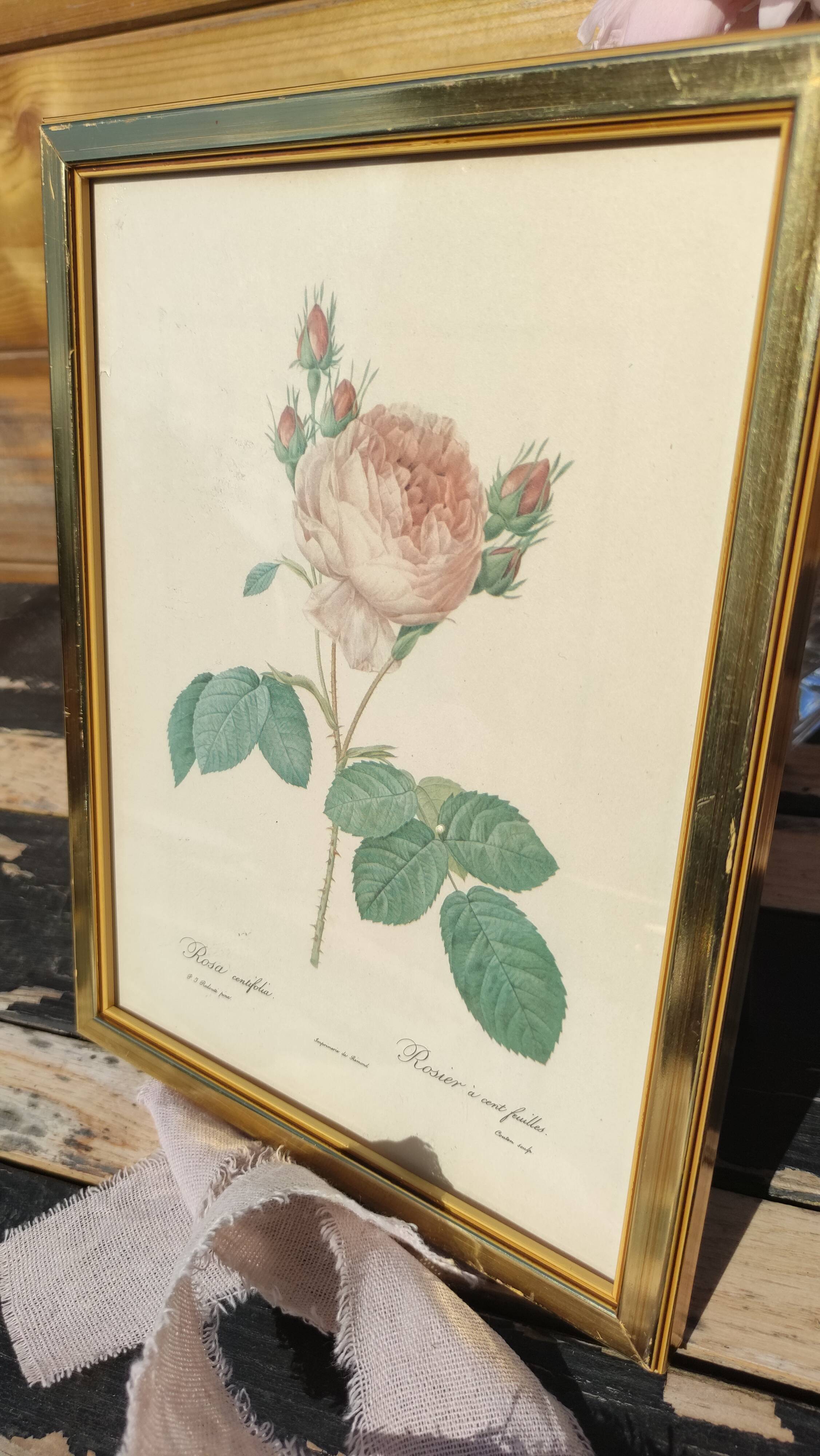 Cadre vintage de Redouté en laiton doré