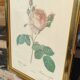 Cadre vintage de Redouté en laiton doré