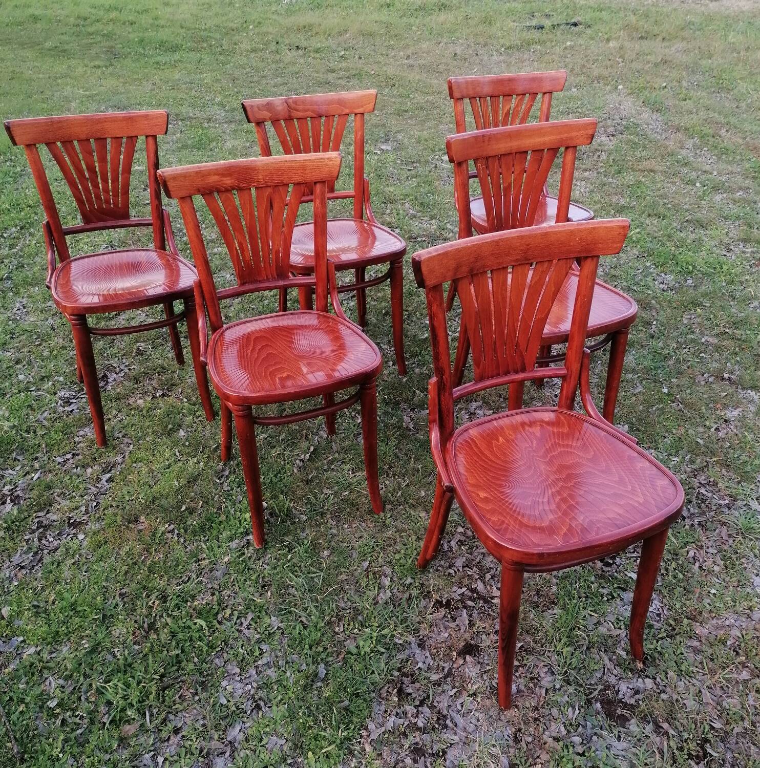 Set of 6 vintage bentwood bistro chairs