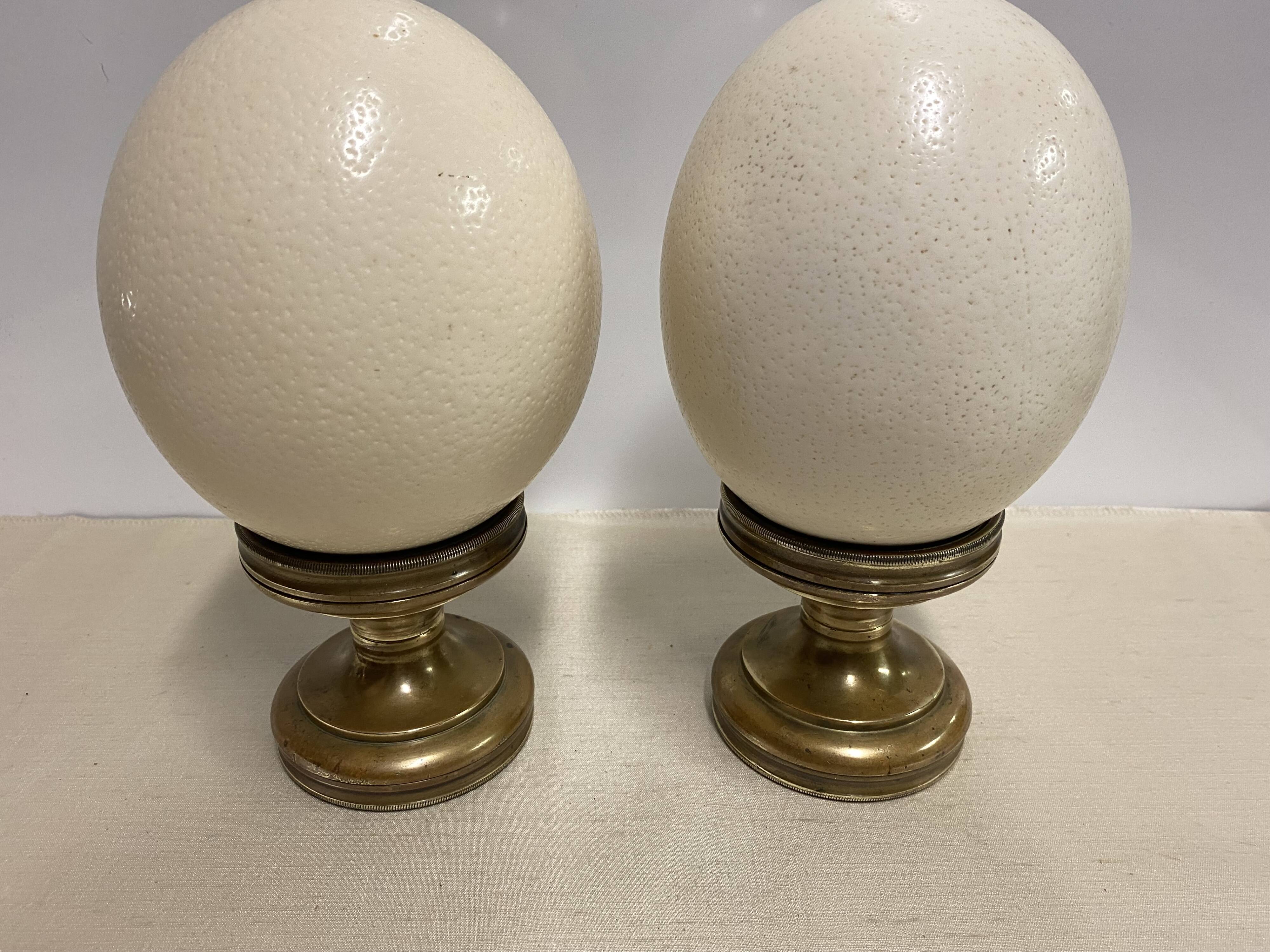 Pair of ostrich egg