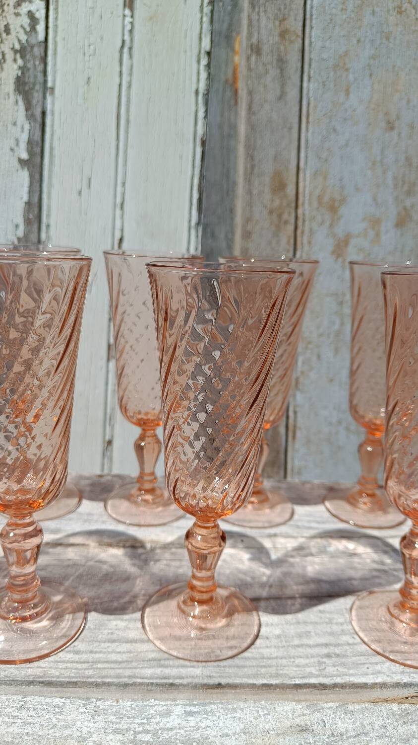 Rosaline champagne flutes set of 12