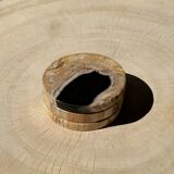 Set of 3 fossilized wooden coasters (clear)