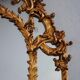 Mirror shield-close style Louis XV gold leaf gilding