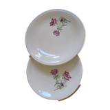 Duo of porcelain anemone dishes