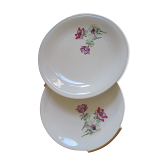 Duo of porcelain anemone dishes