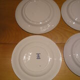 Set of 6 different flat plates