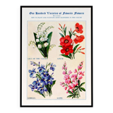 Poster about lily of the valley, flax, lobelia and lupin