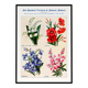Poster about lily of the valley, flax, lobelia and lupin
