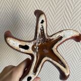 ceramic starfish
