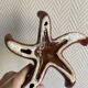 ceramic starfish