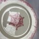 J.Vieillard Iron Earth Plates
